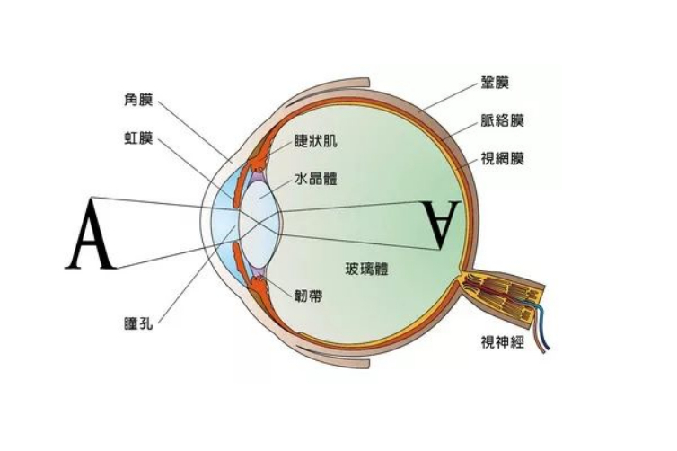 赫兹是什么的单位（法拉是什么单位）-第3张图片-巴山号