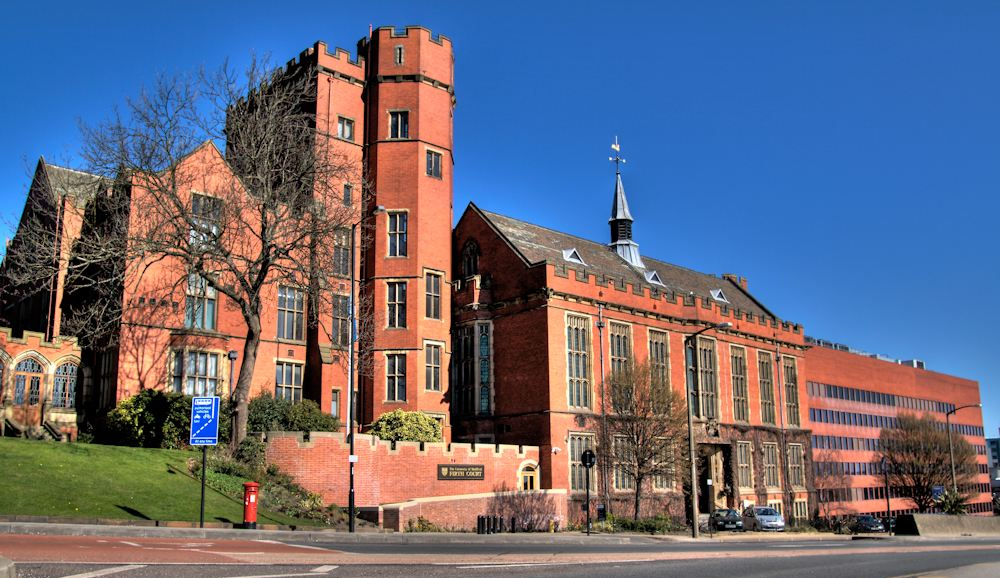 minor什么意思,minor是什么意思中文