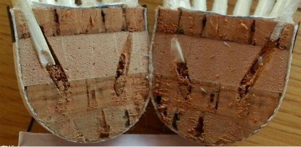 羽毛球是羽毛的好还是塑料的好（你不得不了解的羽毛球挑选小窍门）