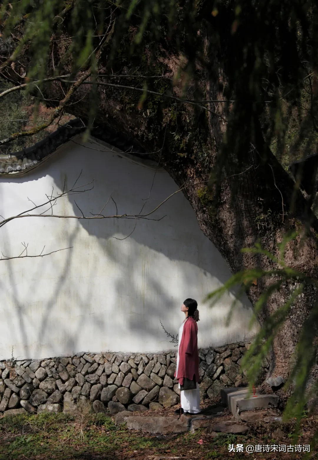 高山流水遇知音全诗（详解4首古诗词的含义）