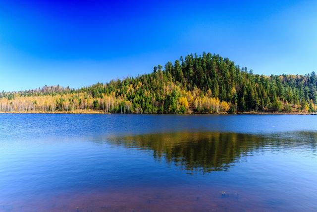 黑龙江省2018年高考文化课成绩1分段统计表（理科）