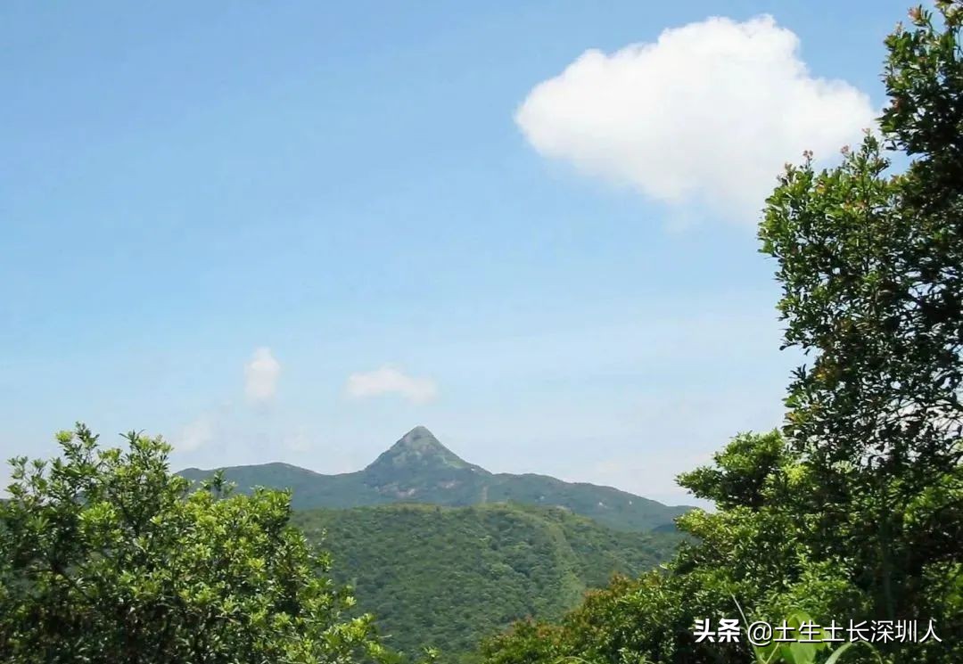 深圳这些山你肯定没少爬，但它背后的含义你知多少
