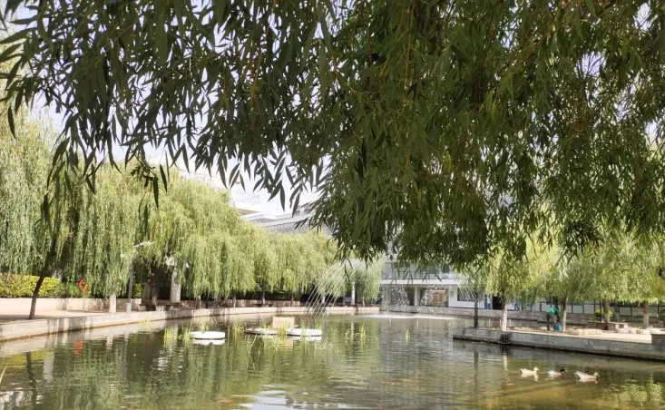 「2021中招」郑州重点高中哪家强？分数线及综评数据超全分析