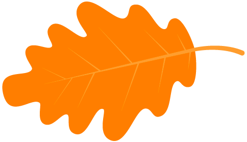 【心火考研】西南大学学科语文经验贴—每个人都是自己故事里主角