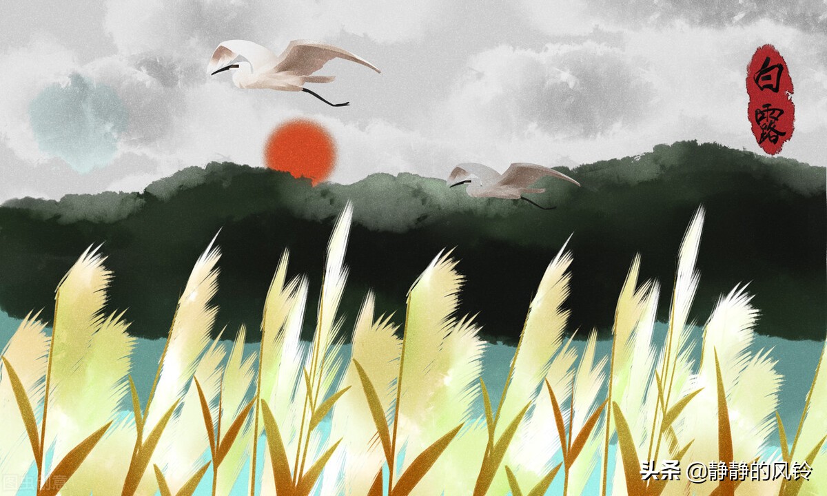 蒹葭苍苍、白露为霜。白露，一个如诗般优美的节气