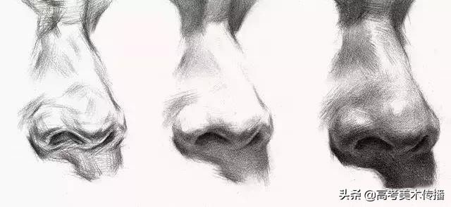素描教程 | 美术绘画全面解析鼻子，特征、年龄、各角度绘画方法