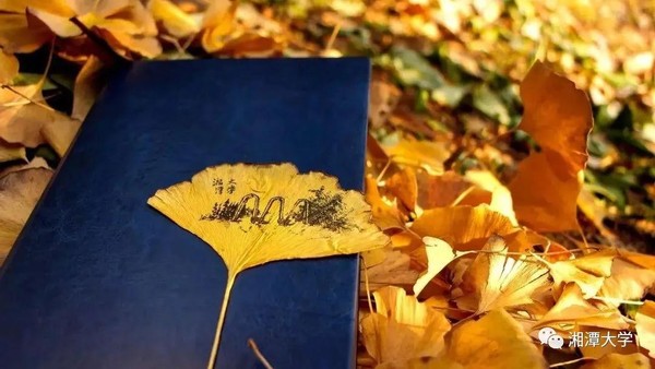 毛主席亲笔题名，走出两院院士、银行行长、大学校长，湖南这所大学“太牛了”