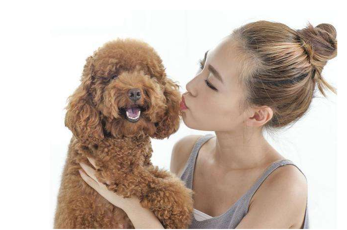 中国三大传统猎犬：沙皮犬、西藏猎犬、细犬，还有松狮犬、京巴犬、边境牧羊犬等等。