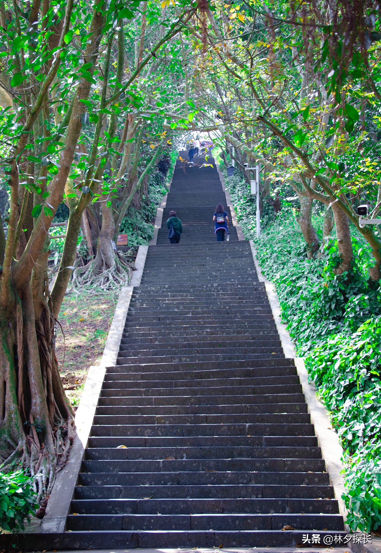 海口火山口 海口火山口一日游-徐拾记官网