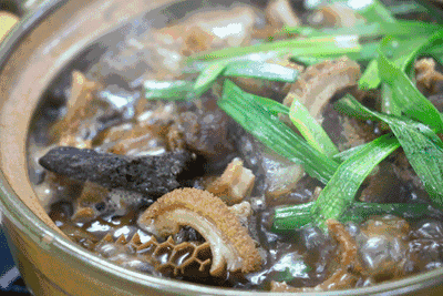 广东高职高考必看｜广东司法警官职业学院