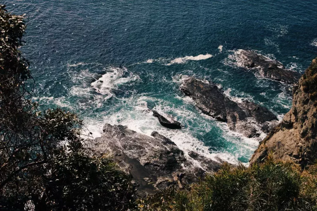 申请季玩滑板把脚摔断还能拿到3个CMU CS类offer是一种什么体验