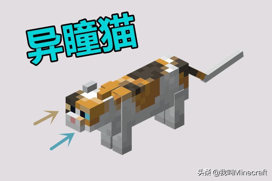 ҵè(mao)ʲôѱҵ(jie)èʲô-7ͼƬ-Ʊ(piao)֪ʶѧϰ