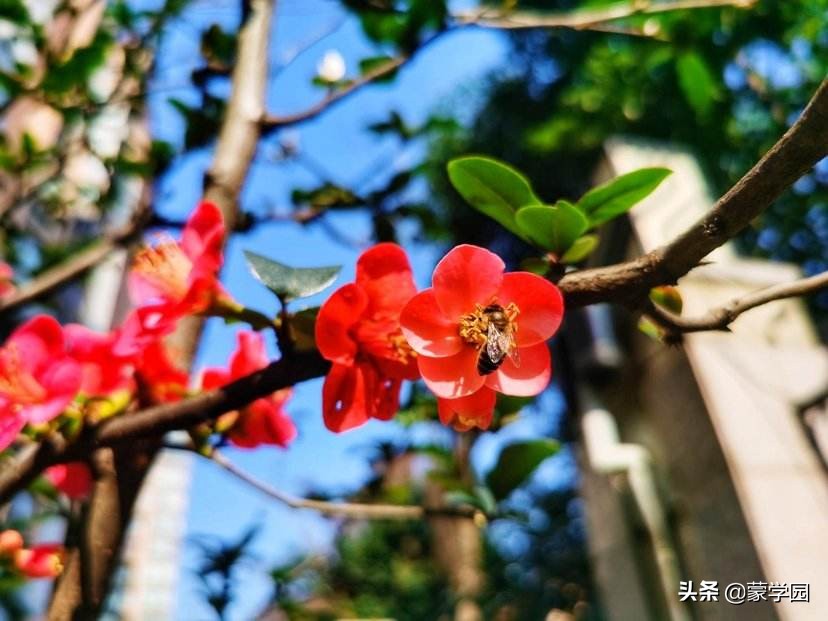 100个形容风景优美的成语，让我们的心情一起美起来！