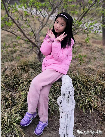 优秀作文精选：可爱的小白兔