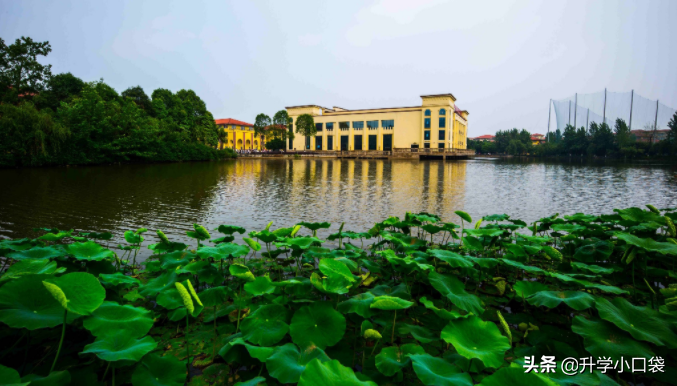 四川大学毕业生主要就业单位：162名本科生留校就业，145人进华为