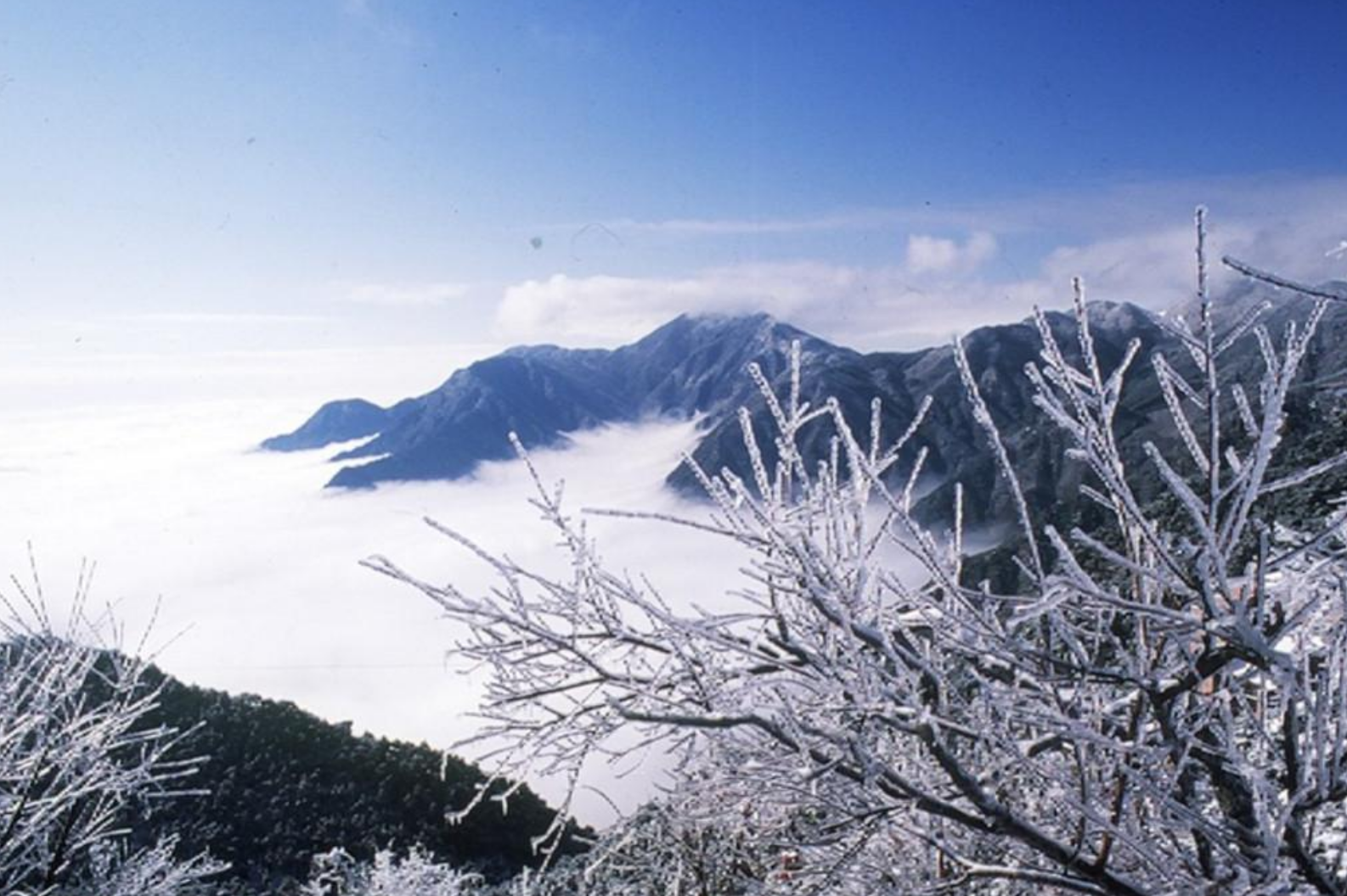 江西庐山几月份去最好（江西庐山几月份去最好门票）-第2张图片-昕阳网