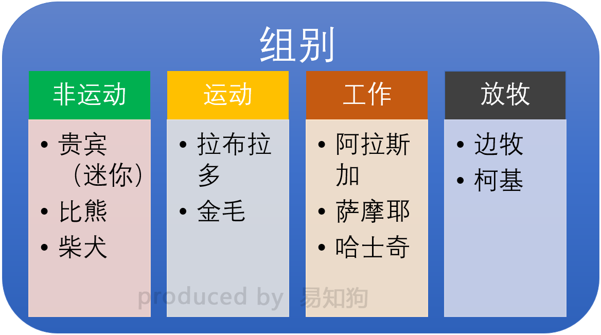 新手养狗必看：国内十大流行犬种横向对比