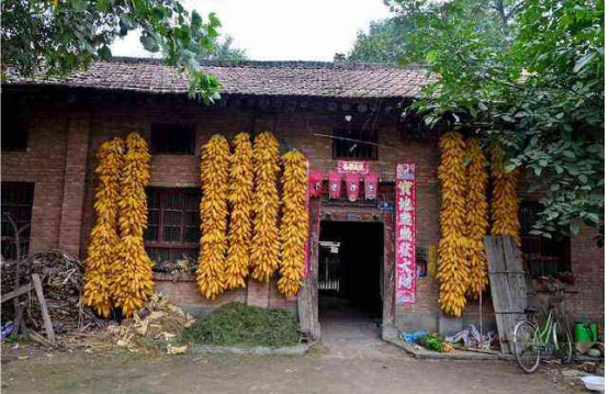 忌动土是什么意思（宜破土忌动土是什么意思）-第3张图片-昕阳网