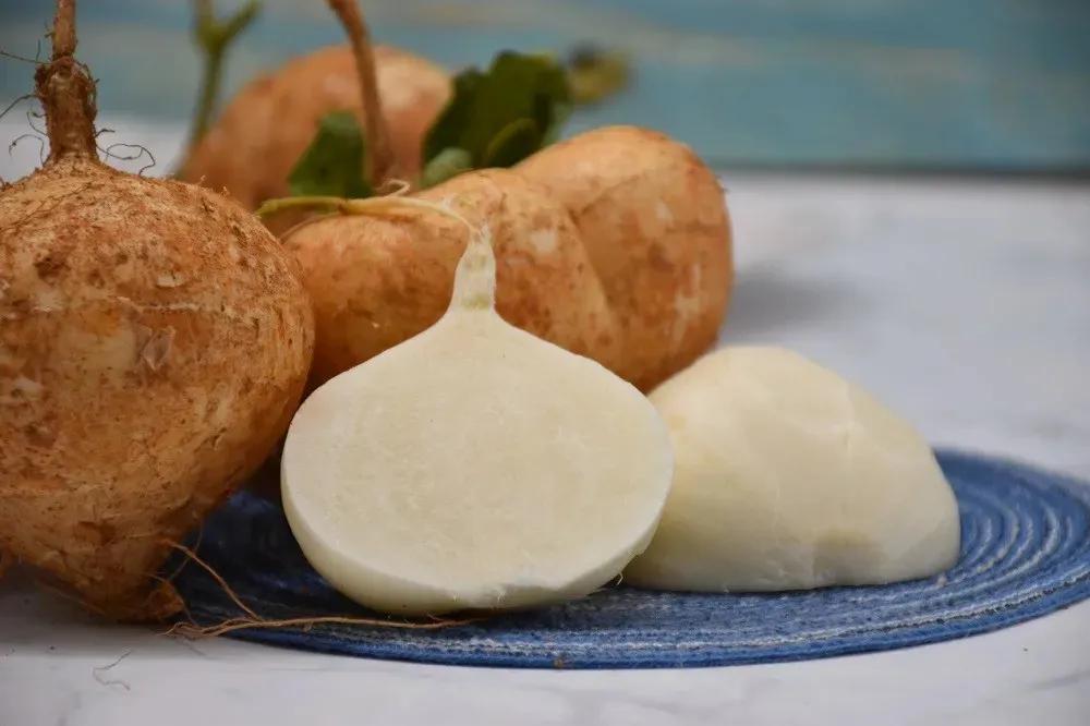 「乡村美食」普定·地萝卜,润泽洁白,清甜多汁,滋润整个夏秋