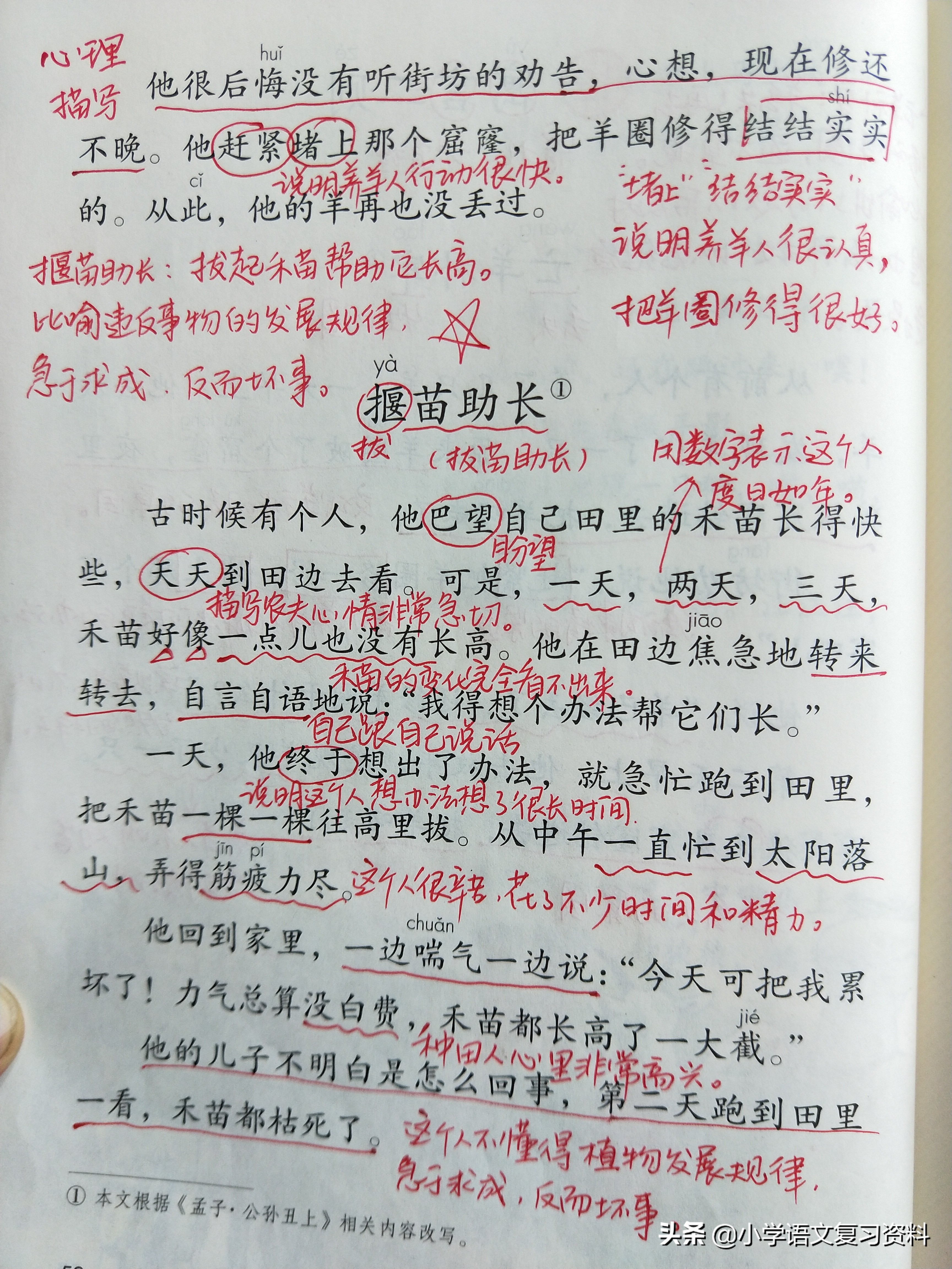 二年级下册语文园地四/寓言二则/画杨桃复习笔记,做好复学准备！