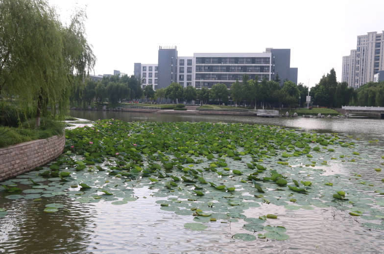 “十四五”期间，盐师如何升格“盐城师范大学”，实现蓬勃发展？