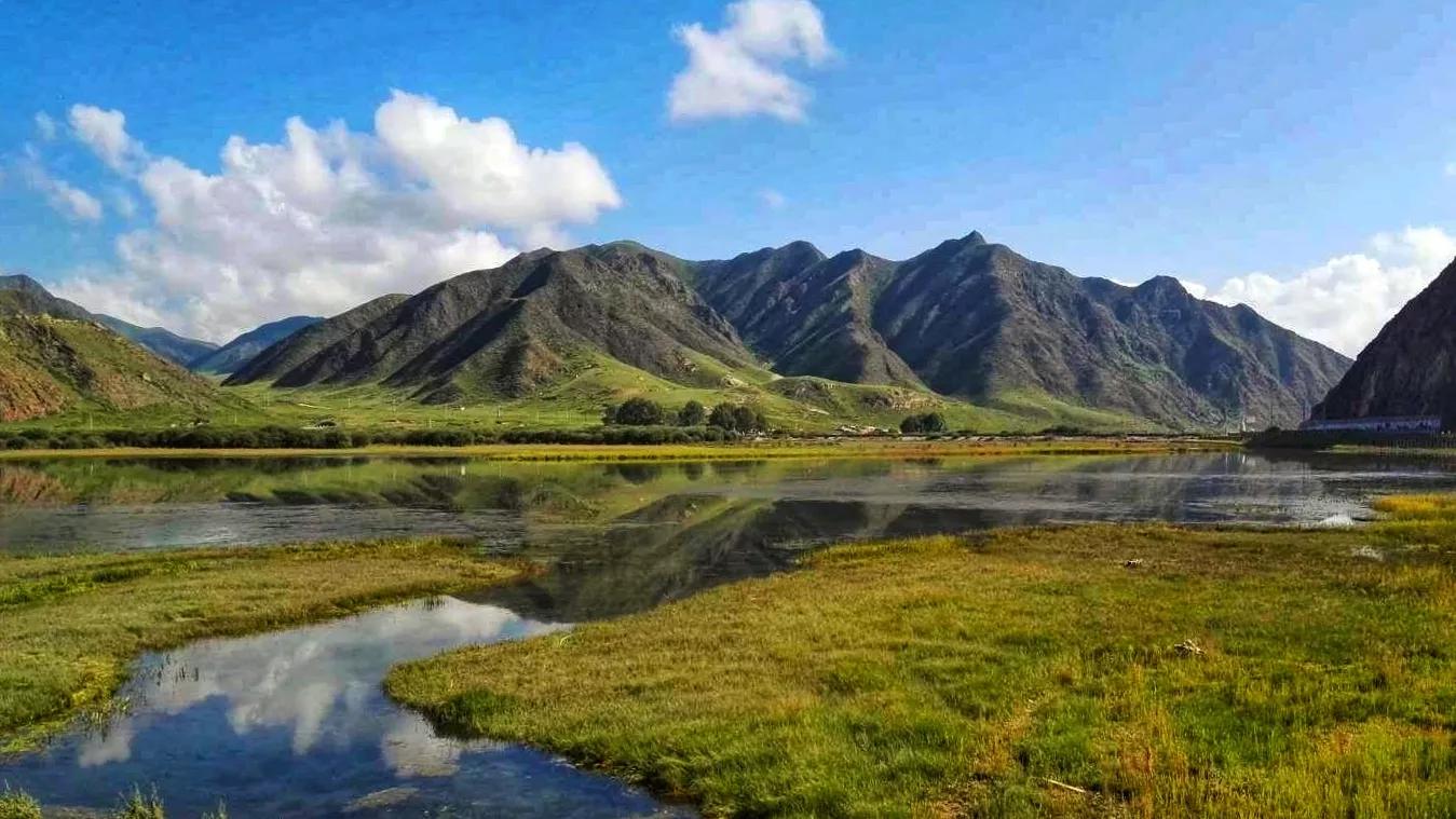 自驾大甘南、川西（图文）第八集：桑科草原