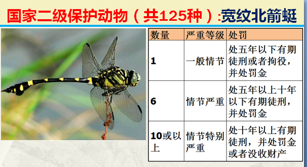 二级保护动物（国家最新125类二级野生保护名录）