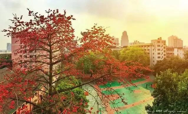 高职高考必看｜全面了解广东工贸职业技术学院