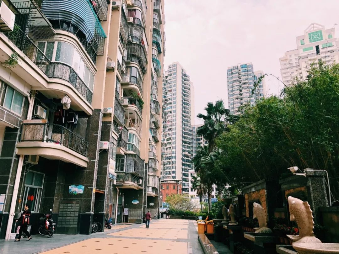 老破小一平10万+！我们走遍厦门18所名校，为你曝光最贵学区房！