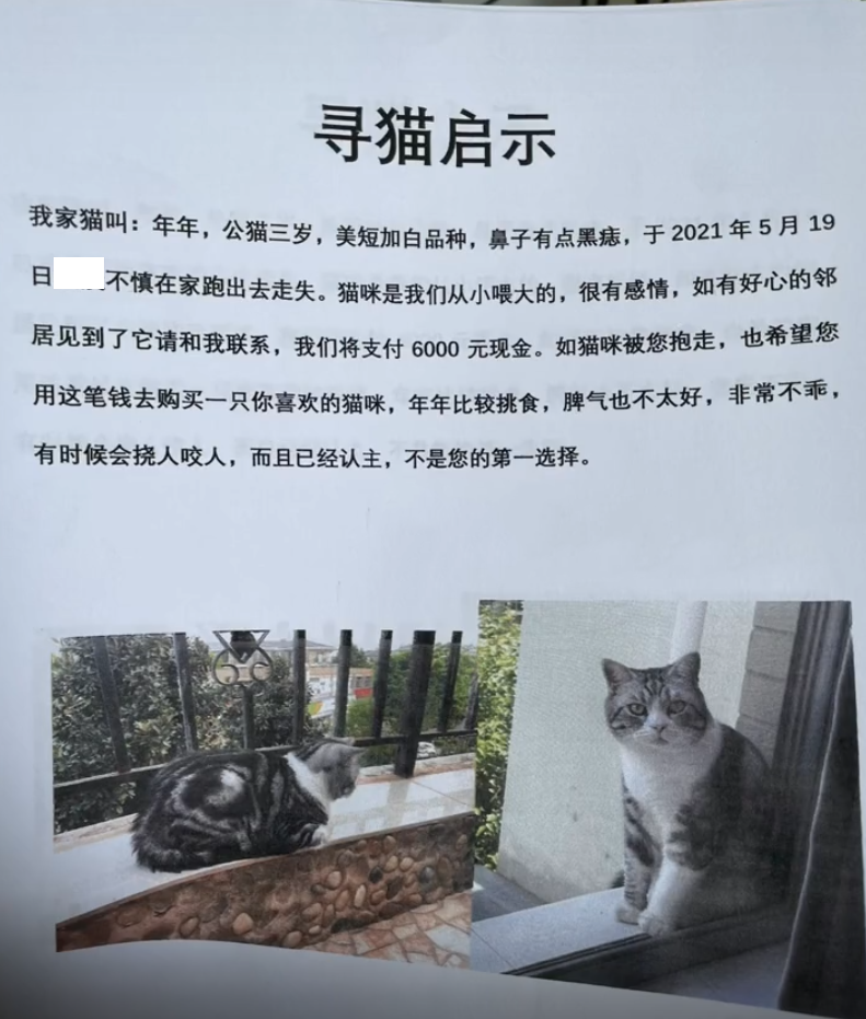 我的猫丢了，最后花了6000元才赎回来