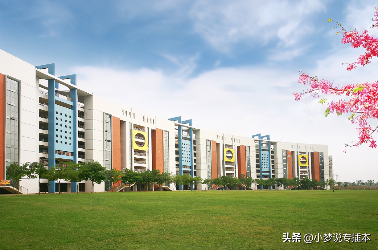 广东省2021年普通高等学校专升本招生简章汇总更新