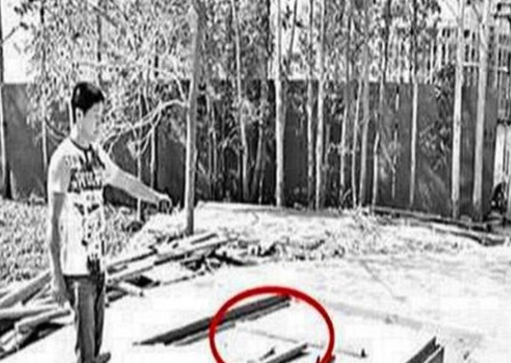 1963年，河北女会计携巨款神秘失踪，21年后从水泥地中挖出尸骨