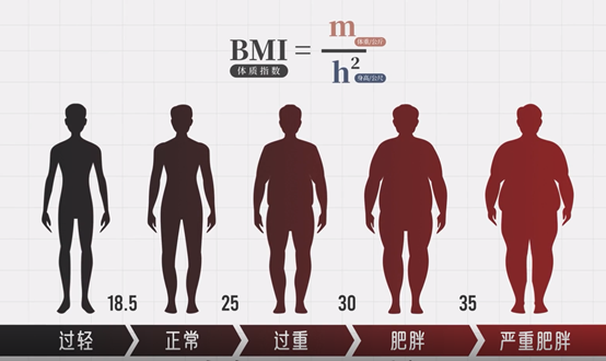 体脂秤怎么选！华为、小米、云曦外观、精准度、体验感大比拼