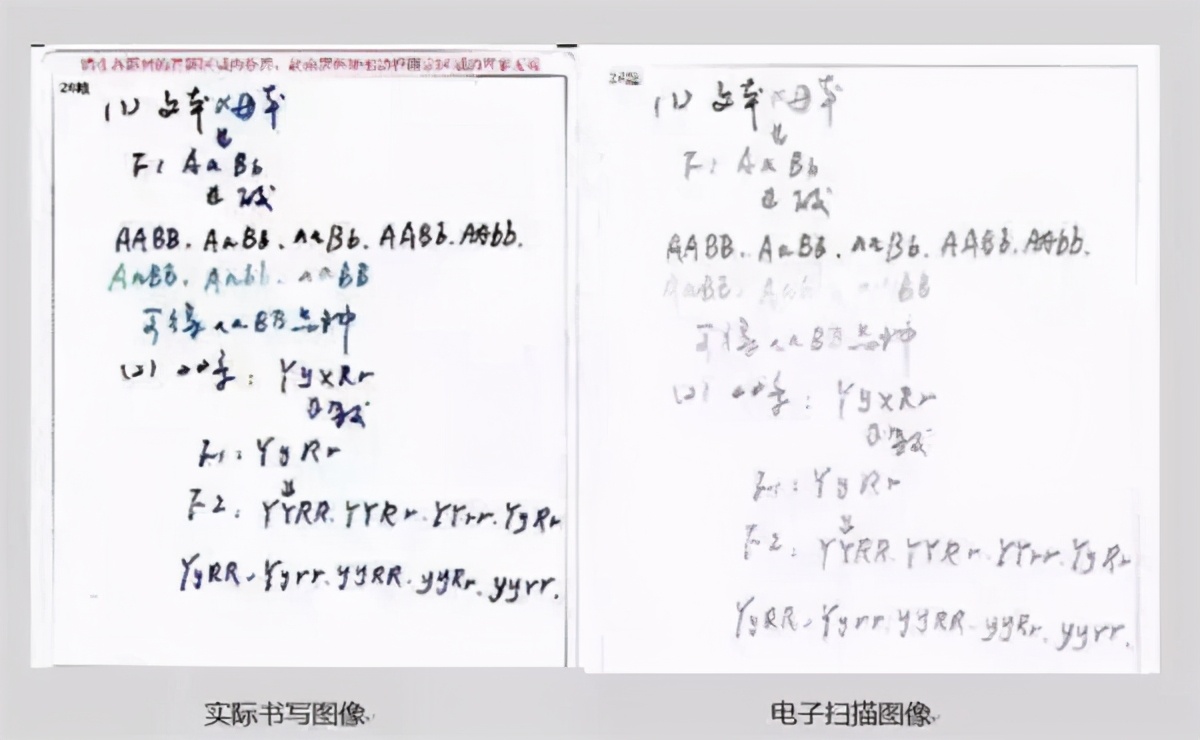 高考阅卷人总结，“高颜值答题卡”易得高分，最怕遇到“冷宫”类