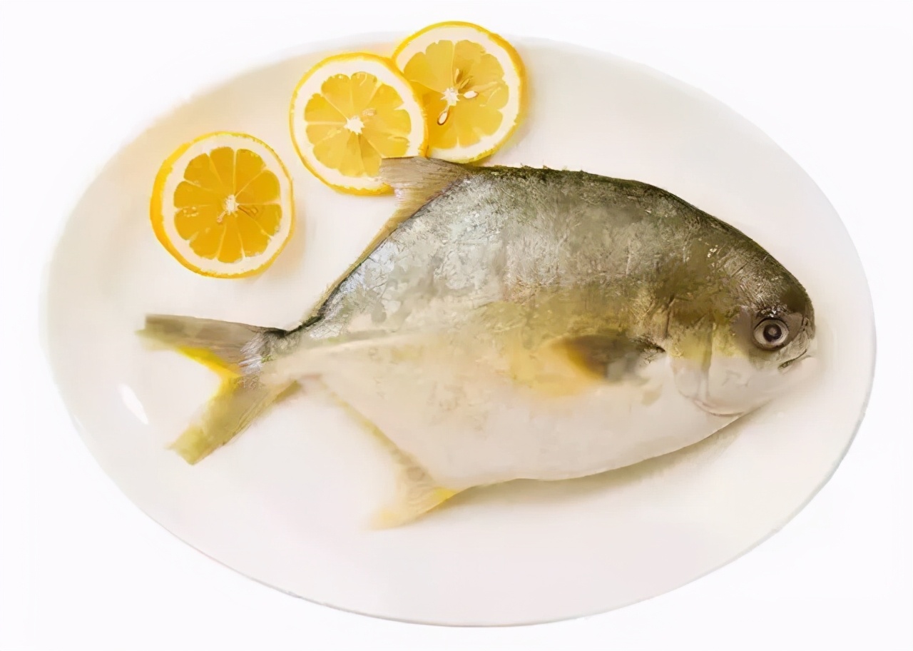 金鲳鱼的独家养殖攻略!速看