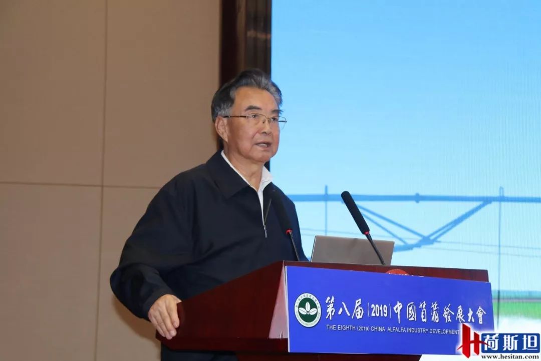新機遇下苜蓿產(chǎn)業(yè)如何發(fā)展？第八屆2019中國苜蓿發(fā)展大會召開