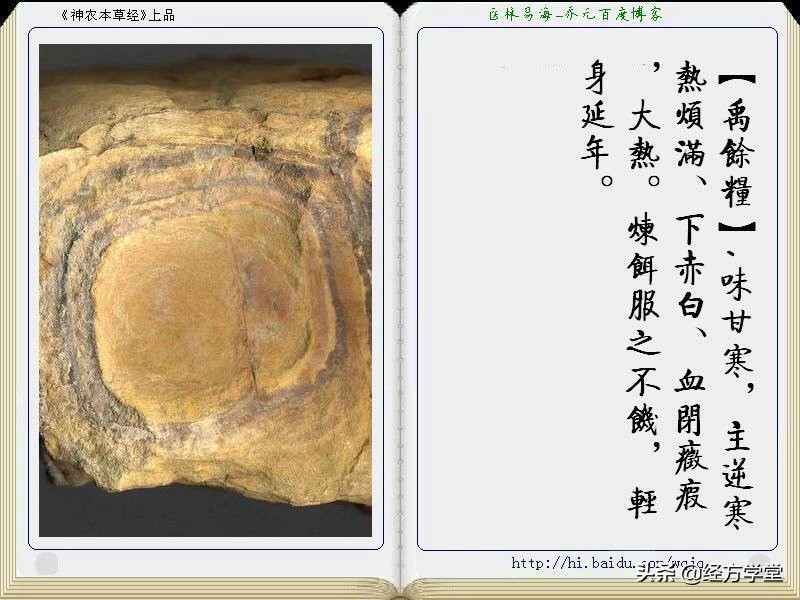 《神农本草经》全册图文解析 建议收藏