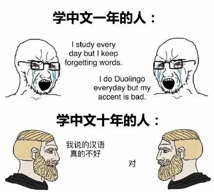 老外用梗图吐槽学中文，像极了学英语的我们，网友：终于报仇了