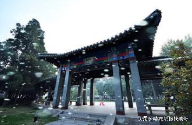 拥有9个A+学科，人文社科的顶尖院校，学霸都喜欢报考这些专业