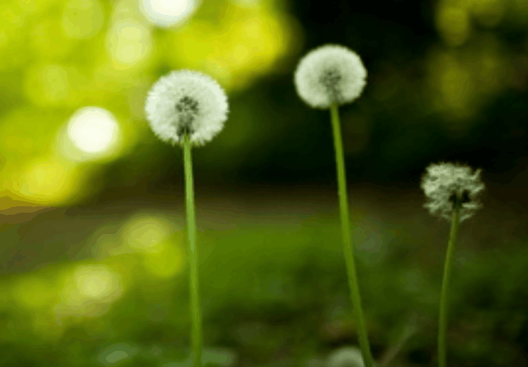 “和睦相处”这四个字到底有几成意思，是好还是坏呢？