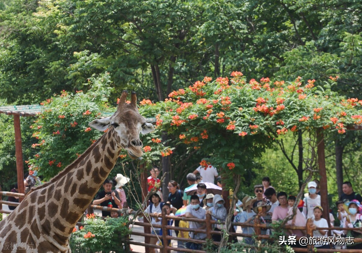 国庆假期，山东这10个景区游人如织，你去过吗？