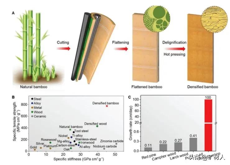 钢材减产需求不减，木材替代钢可行吗？科学家陆续给出答案