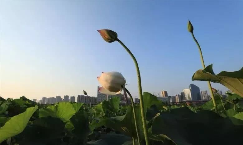 「国庆长假」安逸走四川 养心到遂宁：自我介绍篇