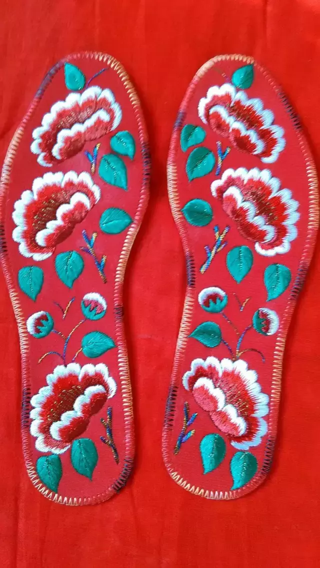 鞋垫花样图案大全(鞋垫花样图案大全手工高清晰)-骁龙网