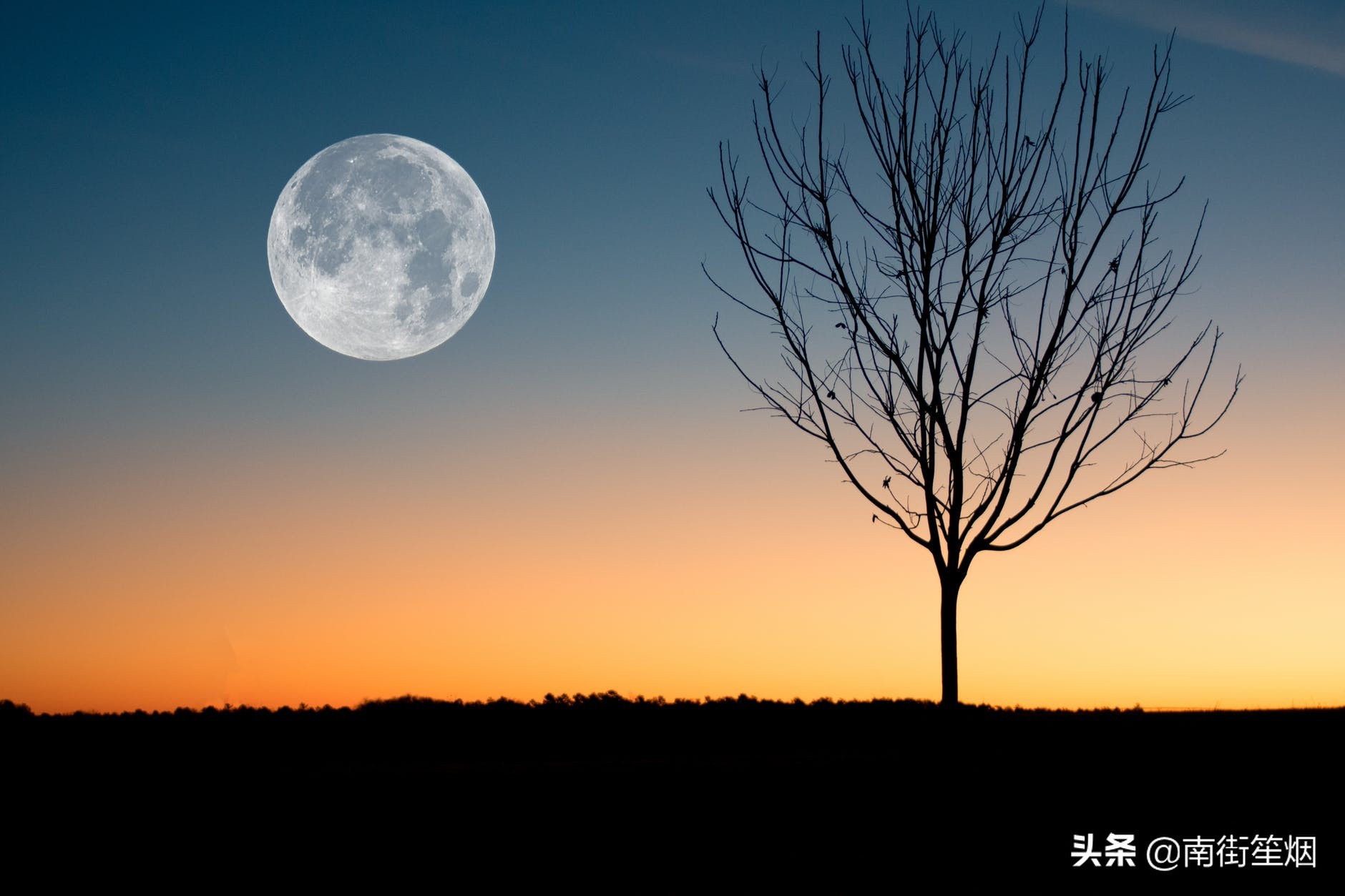 明月如诗，清辉洒落，夜色温柔，心随光动。