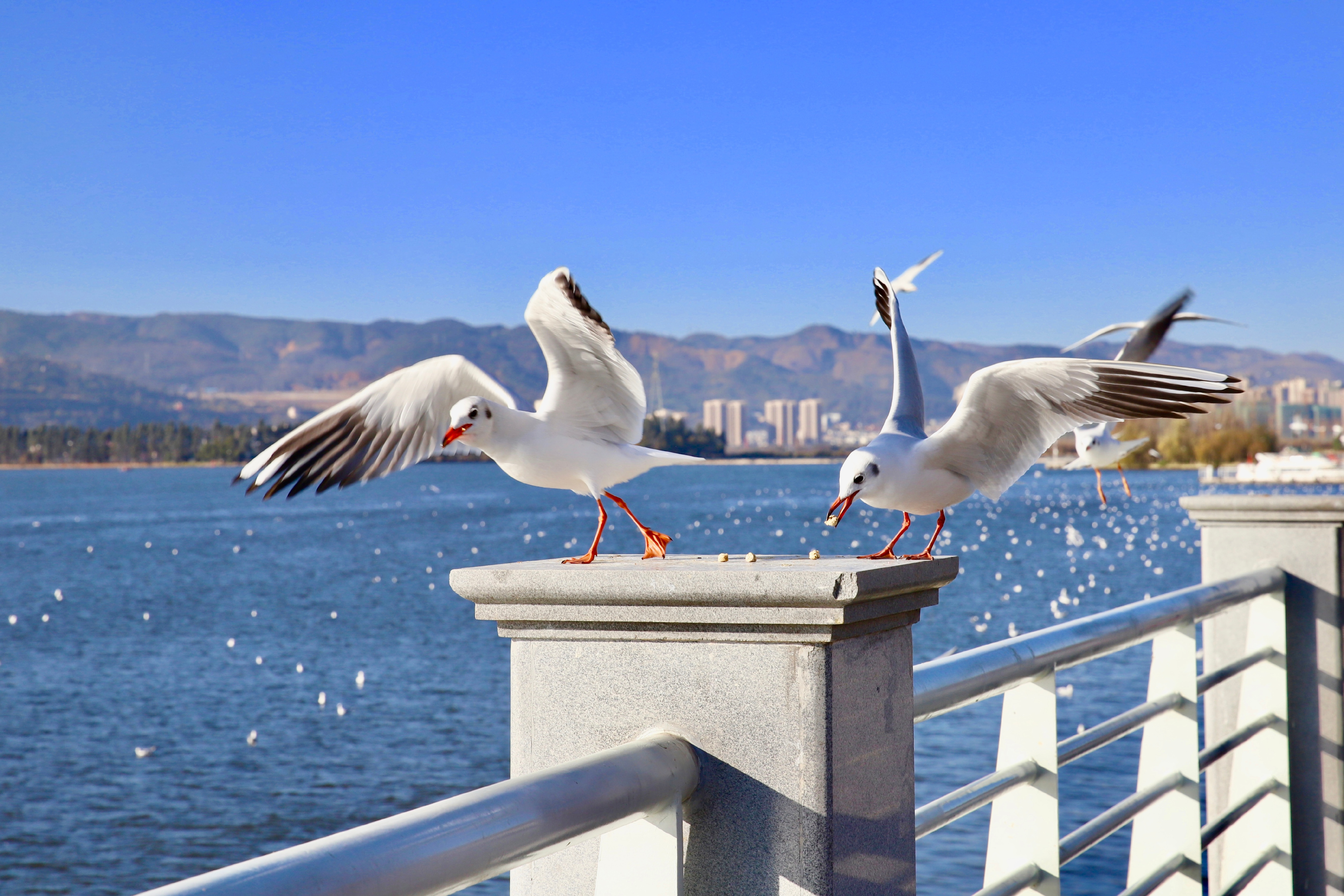 昆明最值得打卡的100个地方！你去过几个？