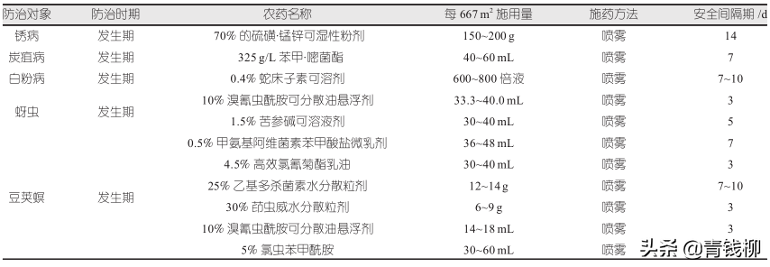 豇豆的种植时间和方法（绿色食品豇豆栽培技术）