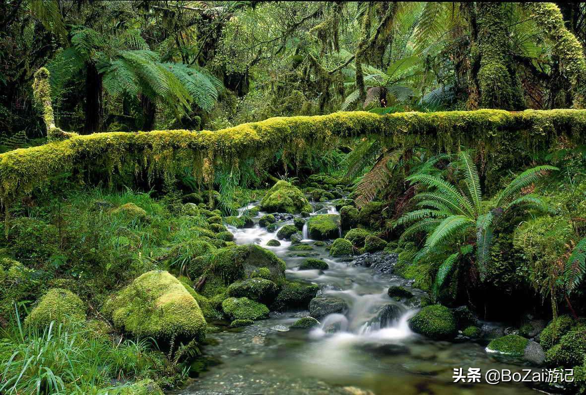 适合云南旅游的地方（到云南旅游不能错过的10大景点）