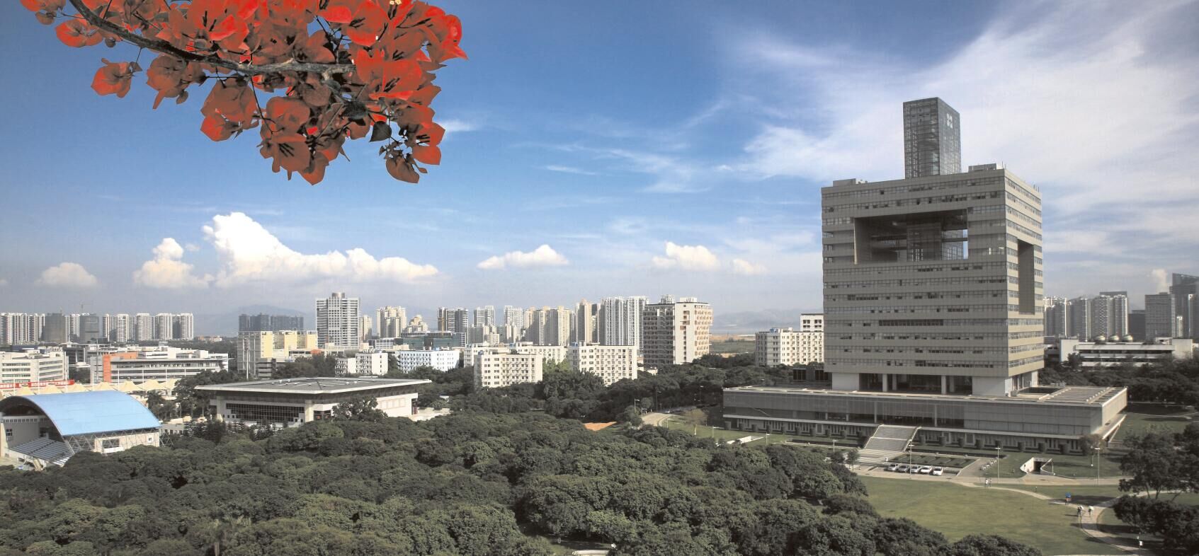 深圳的大学接连刷屏，五大亮点描绘美好图景，青杭两城可仿效