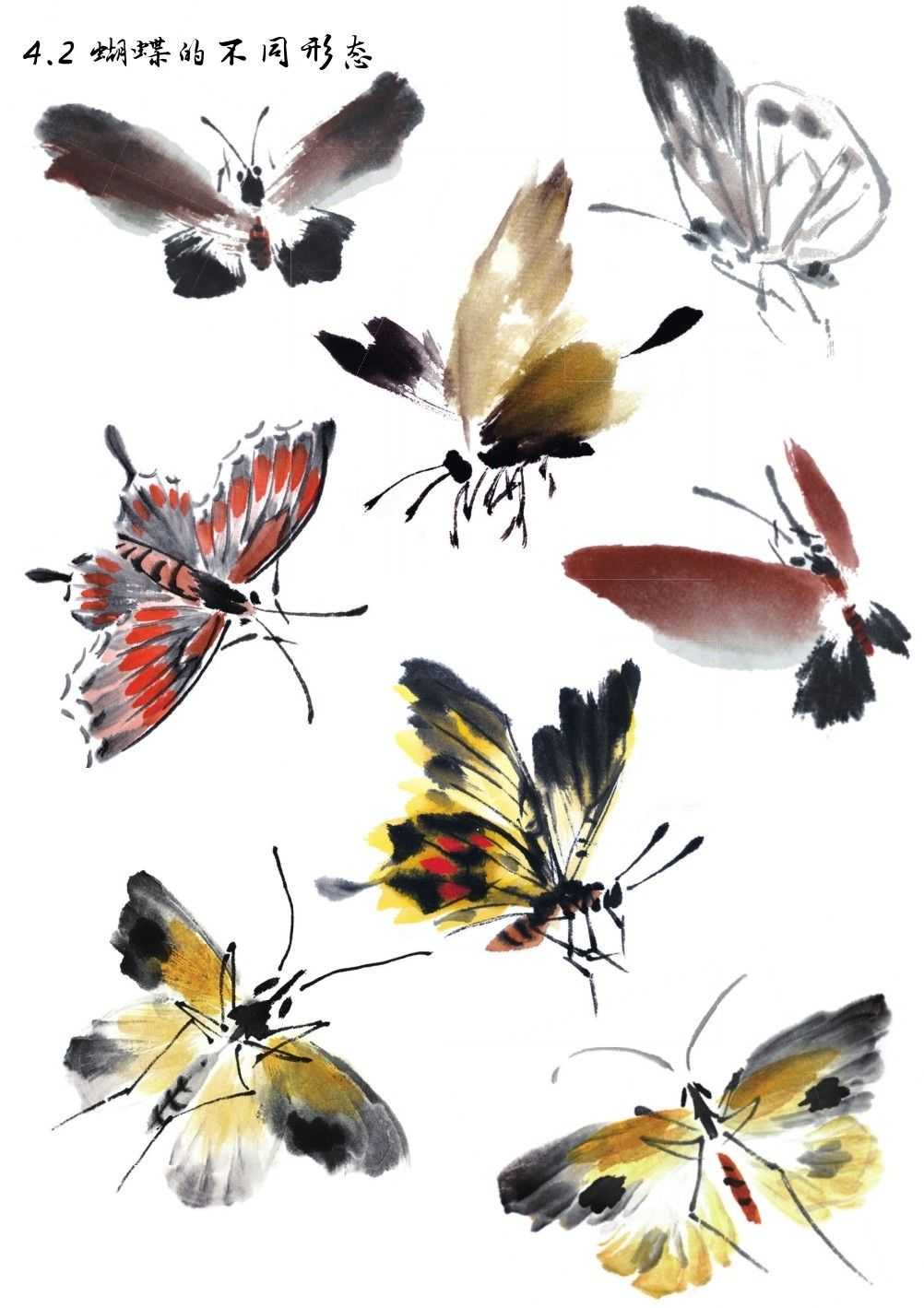 蝴蝶简笔画 蝴蝶的简单画法-北京万事通